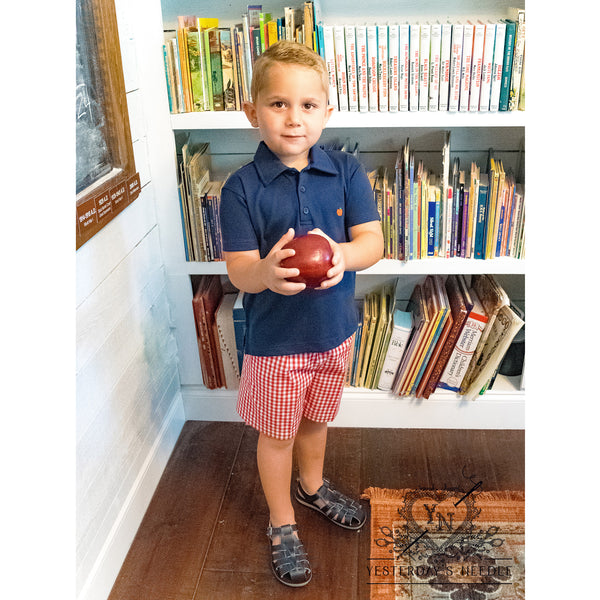 "For the Teacher" collection  Toddler Boy's Polo & Elastic Waist Shorts Set